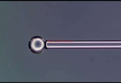 Ball  Lensed  Fiber 